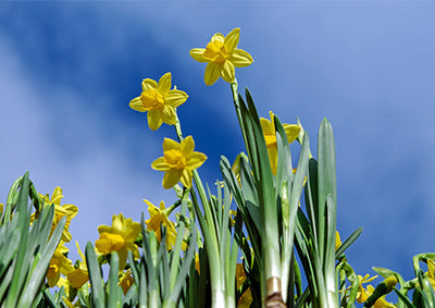Bye bye winter! Keep the kids busy with Easter craft ideas and spring activities for preschoolers
